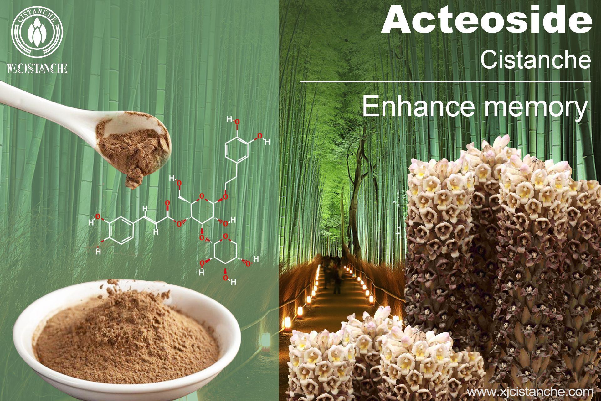 acteoside and verbascoside acteoside and verbascoside