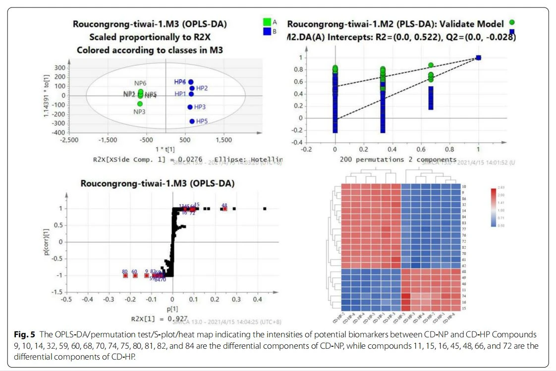 The OPLS-DA/permutation test/S-plot/heat map indicating the intensities of potential biomarkers between CD-NP and CD-HP Compounds 9, 10, 14, 32, 59, 60, 68, 70, 74, 75, 80, 81, 82, and 84 are the diferential components of CD-NP, while compounds 11, 15, 16, 45, 48, 66, and 72 are the diferential components of CD-HP The OPLS-DA/permutation test/S-plot/heat map indicating the intensities of potential biomarkers between CD-NP and CD-HP Compounds 9, 10, 14, 32, 59, 60, 68, 70, 74, 75, 80, 81, 82, and 84 are the diferential components of CD-NP, while compounds 11, 15, 16, 45, 48, 66, and 72 are the diferential components of CD-HP