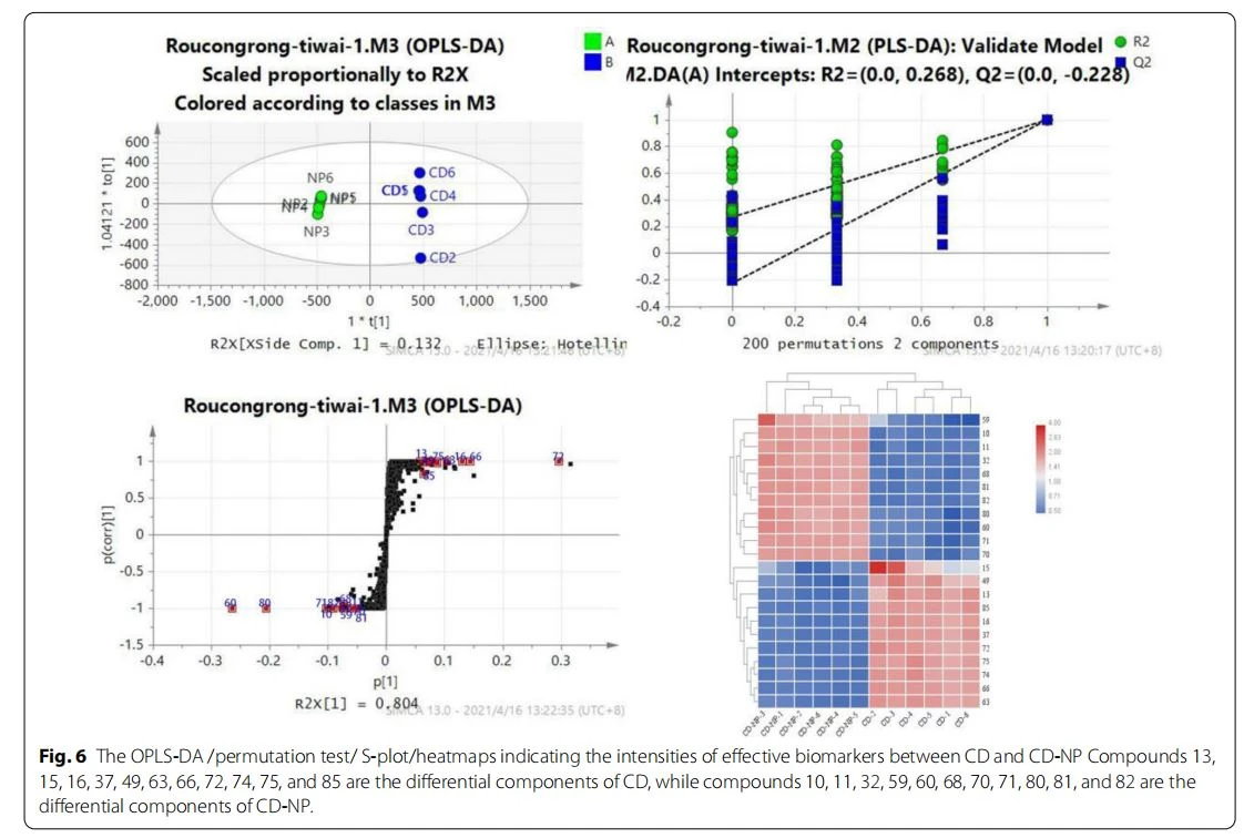 The OPLS-DA /permutation test/ S-plot/heatmaps indicating the intensities of efective biomarkers between CD and CD-NP Compounds 13, 15, 16, 37, 49, 63, 66, 72, 74, 75, and 85 are the diferential components of CD, while compounds 10, 11, 32, 59, 60, 68, 70, 71, 80, 81, and 82 are the diferential components of CD-NP The OPLS-DA /permutation test/ S-plot/heatmaps indicating the intensities of efective biomarkers between CD and CD-NP Compounds 13, 15, 16, 37, 49, 63, 66, 72, 74, 75, and 85 are the diferential components of CD, while compounds 10, 11, 32, 59, 60, 68, 70, 71, 80, 81, and 82 are the diferential components of CD-NP