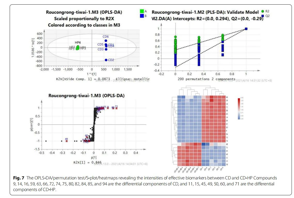 The OPLS-DA/permutation test/S-plot/heatmaps revealing the intensities of efective biomarkers between CD and CD-HP Compounds 9, 14, 16, 59, 63, 66, 72, 74, 75, 80, 82, 84, 85, and 94 are the diferential components of CD, and 11, 15, 45, 49, 50, 60, and 71 are the diferential components of CD-HP The OPLS-DA/permutation test/S-plot/heatmaps revealing the intensities of efective biomarkers between CD and CD-HP Compounds 9, 14, 16, 59, 63, 66, 72, 74, 75, 80, 82, 84, 85, and 94 are the diferential components of CD, and 11, 15, 45, 49, 50, 60, and 71 are the diferential components of CD-HP
