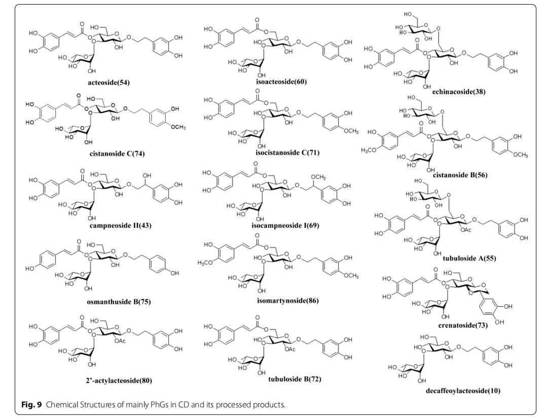 Chemical Structures of mainly PhGs in CD and its processed products Chemical Structures of mainly PhGs in CD and its processed products