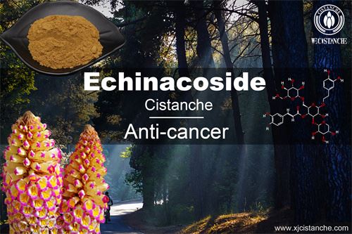 to prevent chronic kidney disease
