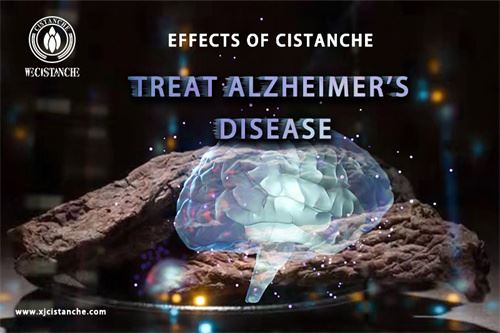 cistanche tubulosa vs deserticola for AD