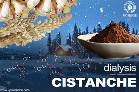 Cistanche-kidney dialysis-2(20) Cistanche-kidney dialysis-2(20)