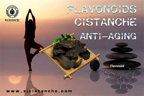 2flavonoids antiaging