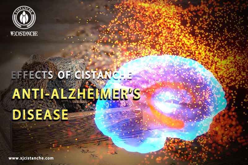 best herb for alzheimer's disease best herb for alzheimer's disease