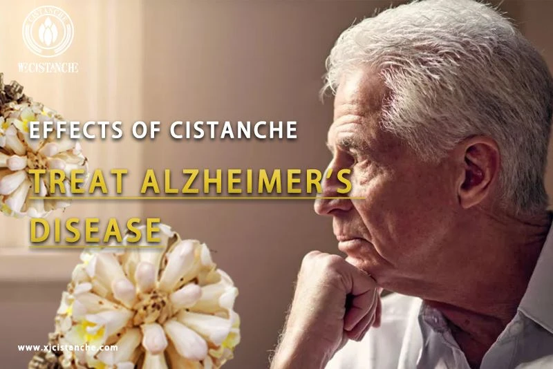 how to prevent alzheimer's disease how to prevent alzheimer's disease