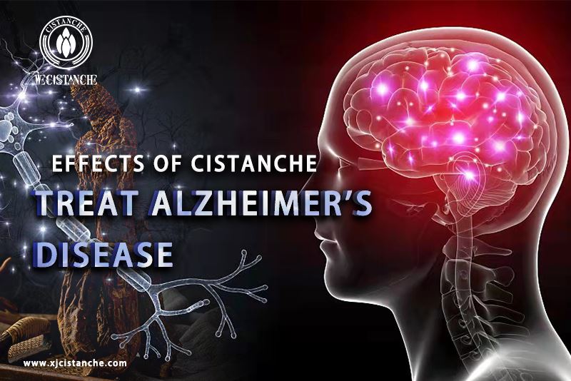natural herb for alzheimer's disease natural herb for alzheimer's disease