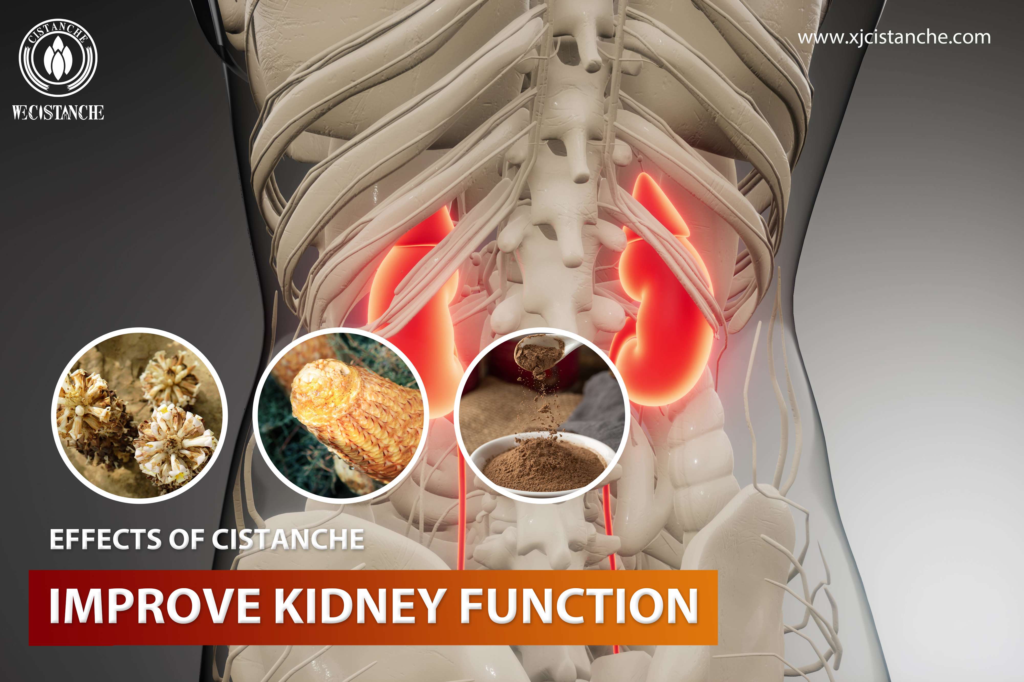 how to improve kideny function how to improve kideny function