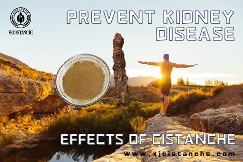 prevent kidney disease prevent kidney disease