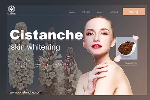 Cistanche for skincare Cistanche for skincare