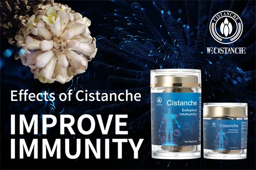 cistanche dosagem