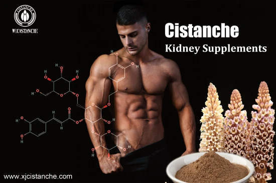 25% ECHINACOSIDE 9% ACTEOSIDE CISTANCHE 25% ECHINACOSIDE 9% ACTEOSIDE CISTANCHE