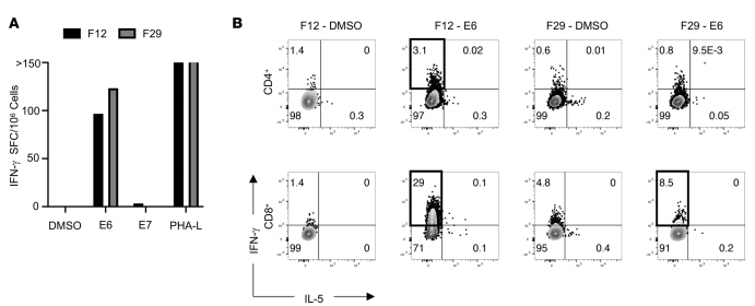 Figure 1. Identification of E6-reactive CD4+ and CD8+ TILs from HPV-16+ HNSCC. (A)