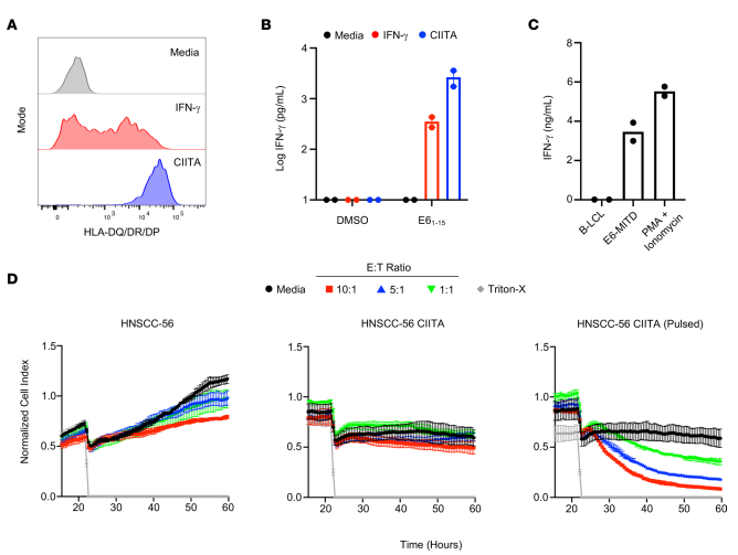 Figure 4. Autologous tumor cells do not present endogenous E61-15 on MHC-II to CD4+ T cells. (A)
