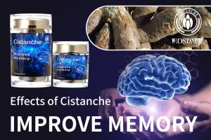 improve your memory improve your memory
