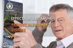 improve brain improve brain