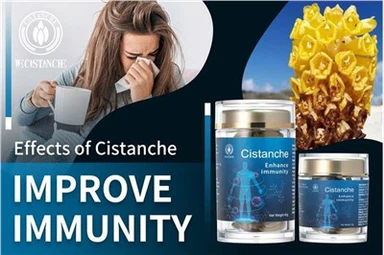 Cistanche Tubulosa Immunity Booster