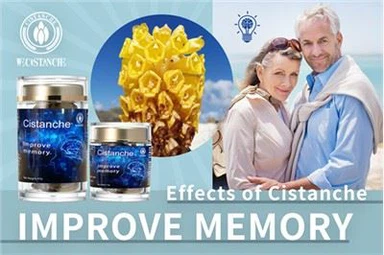 Cistanche: klucz do poprawy pamięci i zapobiegania chorobie Alzheimera