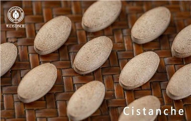 Enhnche Memory Funciton Dodatek Cistanche Tubulosa