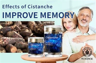 Popraw pamięć i zapobiegaj chorobie Alzheimera polegaj na tym! Żeń-szeń pustynny Cistanche