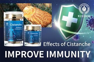 Nourishing in Autumn And Winter, Cistanche Deserticola Leads The Trend Of Health Nourishing in Autumn And Winter, Cistanche Deserticola Leads The Trend Of Health
