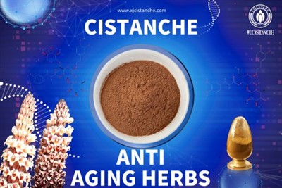 effect of cistanche